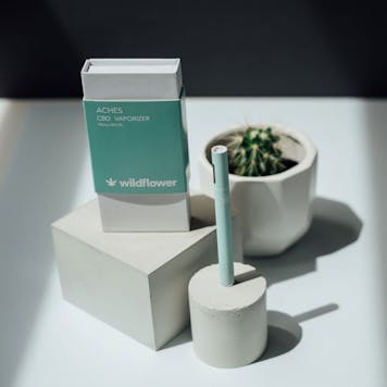 Photo of Disposable Vape Pens – Aches