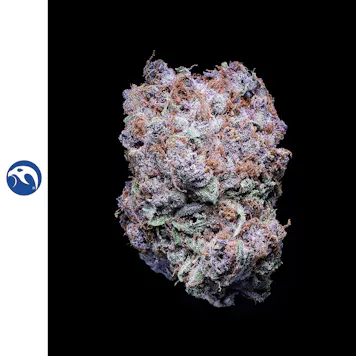 Photo of Blueberry Tide