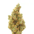 Product image for Tennessee Tangie CBD Hemp Flower