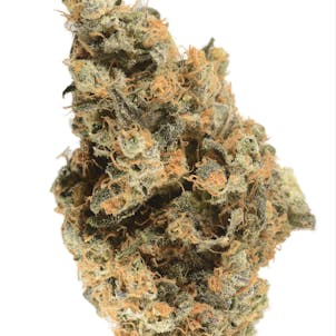 Photo of Bedford Blue Dream