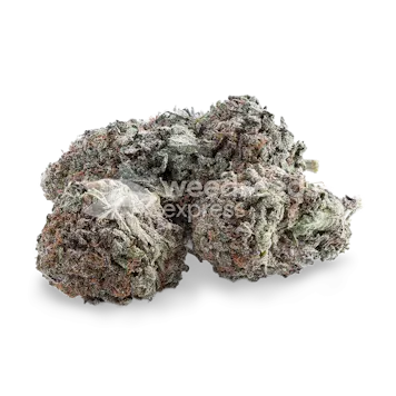 Photo of Durban Poison Autoflower Seeds