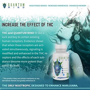 Photo of QUANTUM MIND — FREE BOTTLE