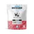 Product image for Pure Michigan - 3.5G Premium Flower