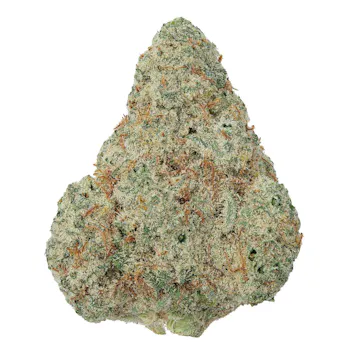 Photo of Amnesia Haze THCa Flower