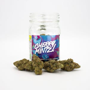 Photo of Cherry Mintz - Platinum Line