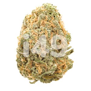 Photo of Blue Dream Fem