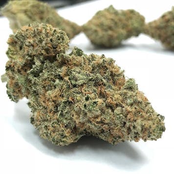 Photo of Violet Delight