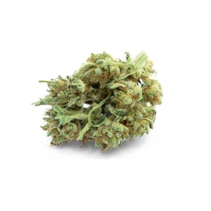 Photo of Sweet Hemp Flower