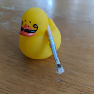 Photo of Northern Lights