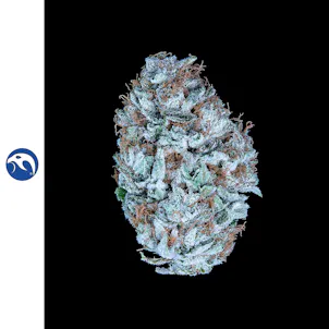 Photo of Pacific Sunshine CBG