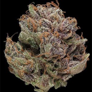 Photo of gLeaf Jilly Bean