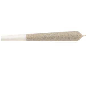 Photo of Jack Haze Bubble Hash Infused Pre-Roll 1x1g