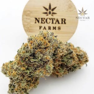 Photo of Diaper Dank