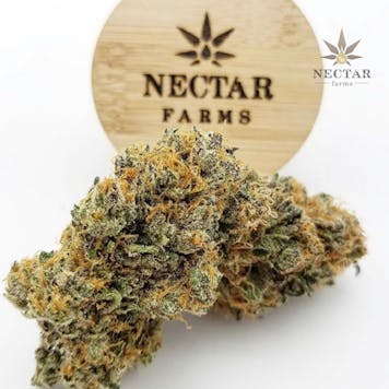 Photo of Diaper Dank