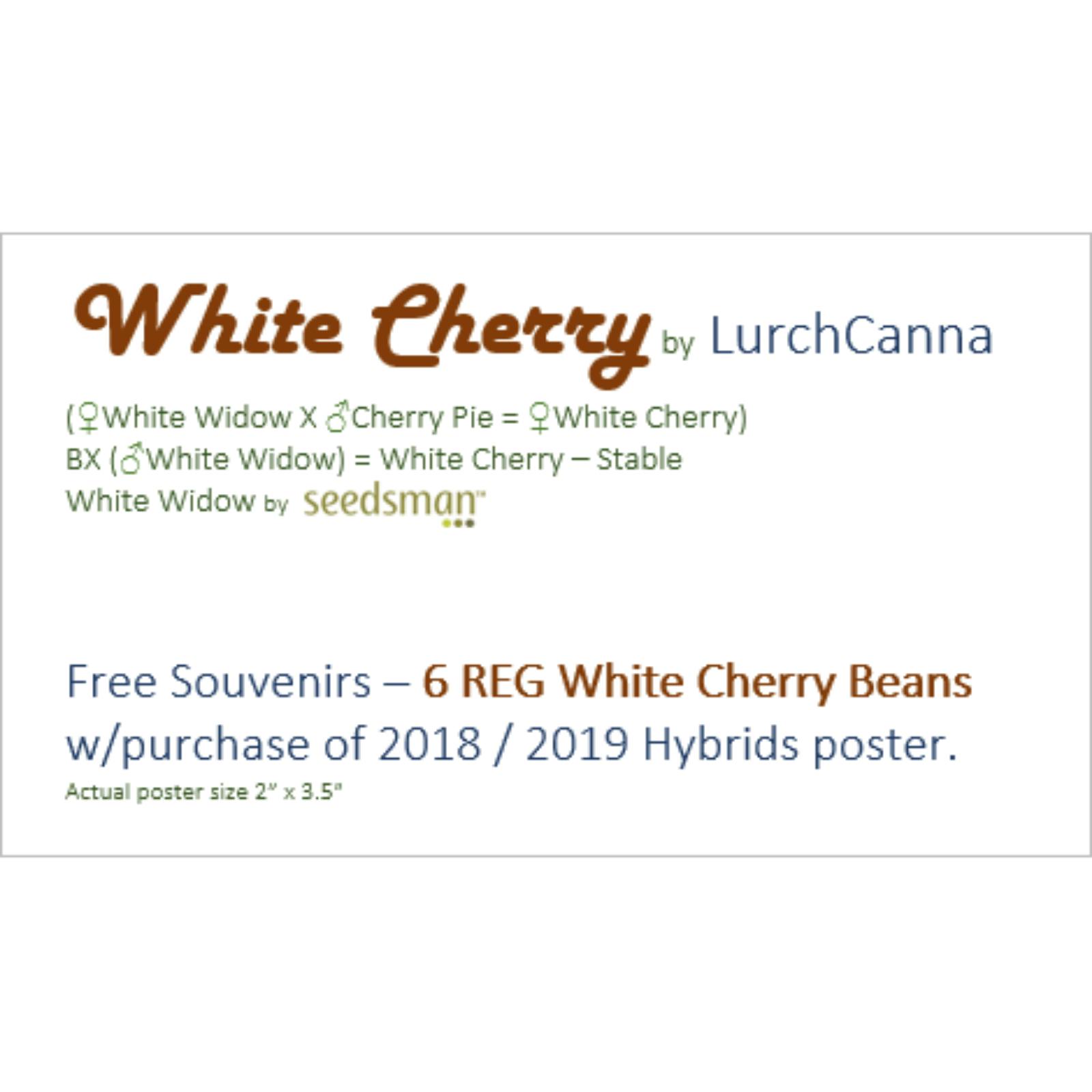 White cherry gelato seeds