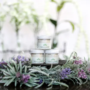 Photo of 250 MG Beesbax Pain Balm