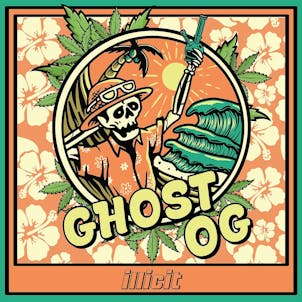 Photo of Ghost OG 1g Flower