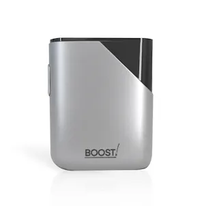 Photo of Platinum Palm Battery - Boost!