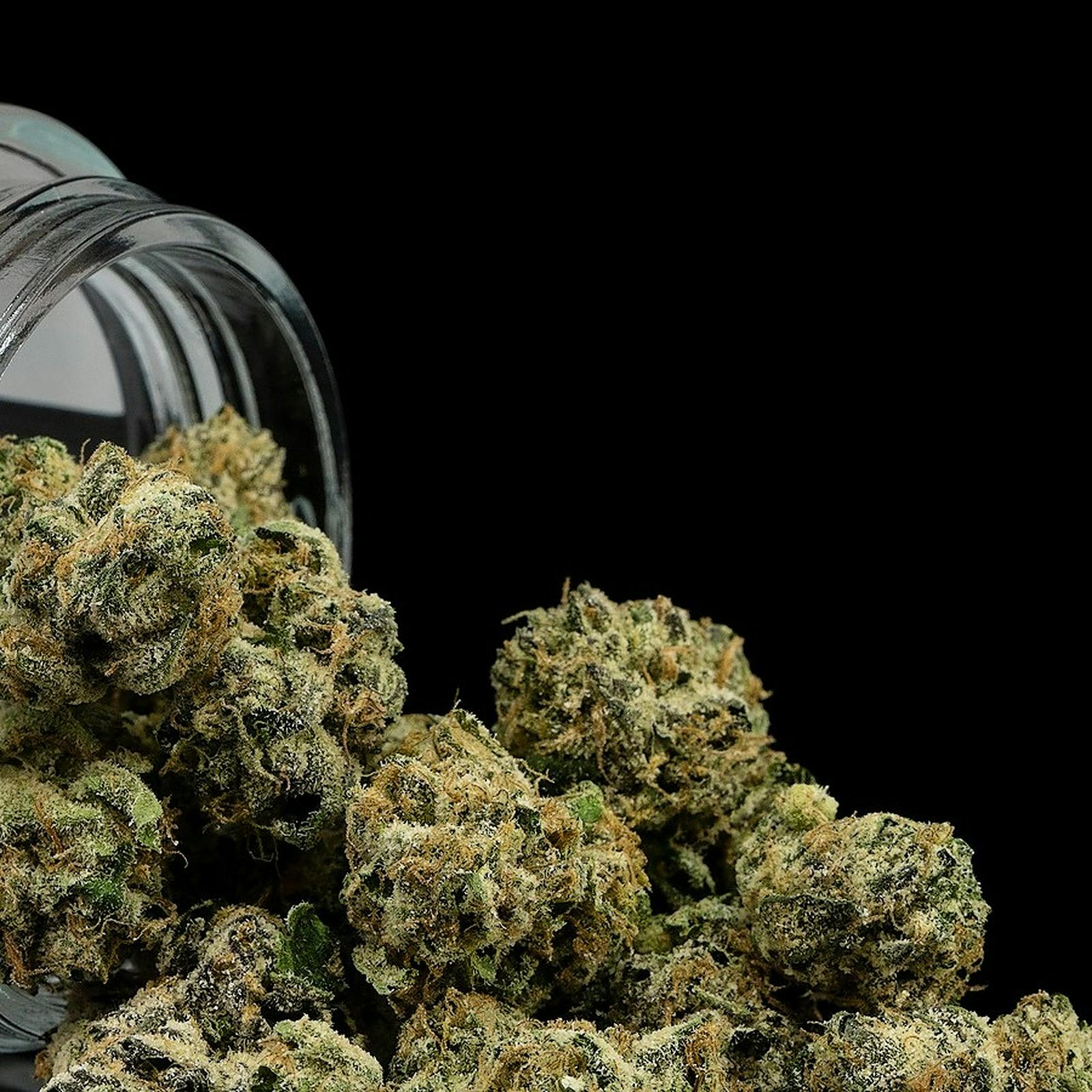 Turtle Pie Co. Turtle Pie Co 'Sidewalk Sunday' Leafly