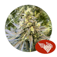 Product image for TruFlower 3.5G - RGC