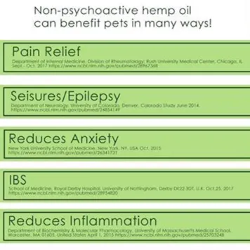Photo of Hemp Herbals 4PAWS