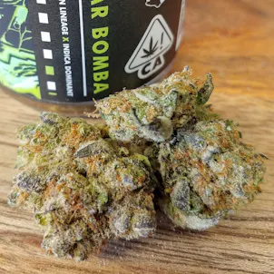 Photo of Russian Tzar Bomba Auto Fem Seeds