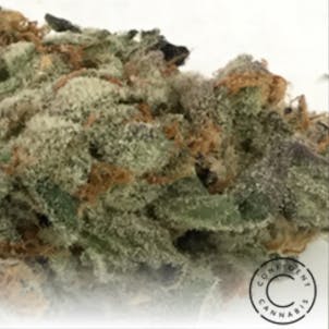 Photo of Clementine's Terpentine