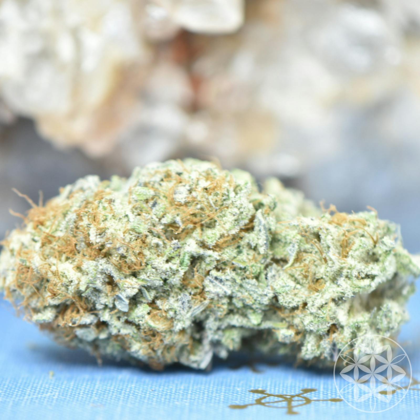 Flower Of Life Organic Cannabis: Tropical Jelly | Leafly