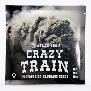 Photo of Crazy Train FAST Feminized Seeds
