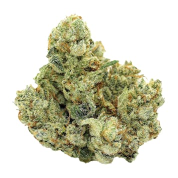 Photo of Purplefarm Genetics Sour Glue