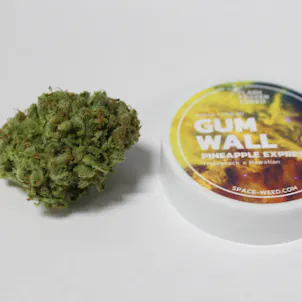 Photo of Gum Wall | Flash Frozen Cured