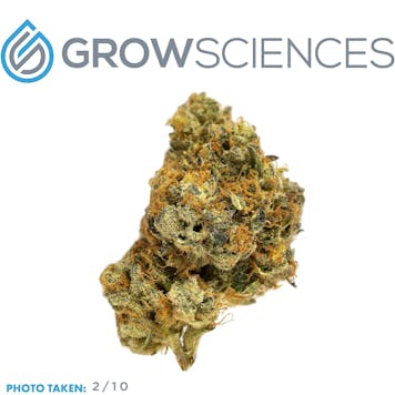 Photo of Secret Triangle Smalls