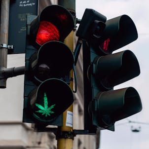 Photo of 7 Rays Marketing