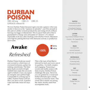 Photo of Big Shiny Buds Vol.1