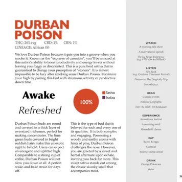 Photo of Big Shiny Buds Vol.1