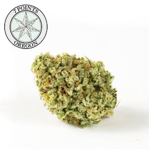 Photo of Sticky Bitch