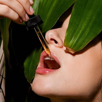 Photo of 500mg Full-Spectrum Hemp CBD Oil