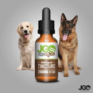 Photo of 250 MG CBD Dog Tincture