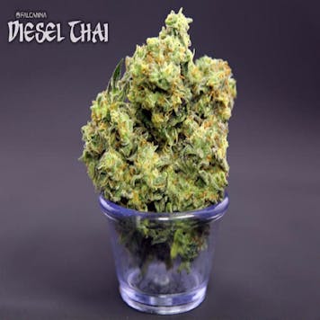 Photo of Diesel Thai