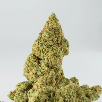 Photo of Granpa's Gold - 3.5g