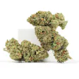 Product image for Tropical Tempest
