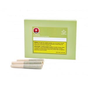 Photo of Daydream Pre-Rolls