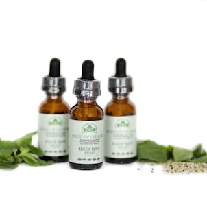 Photo of 500 MG Full Spectrum Kiss of Mint Tincture