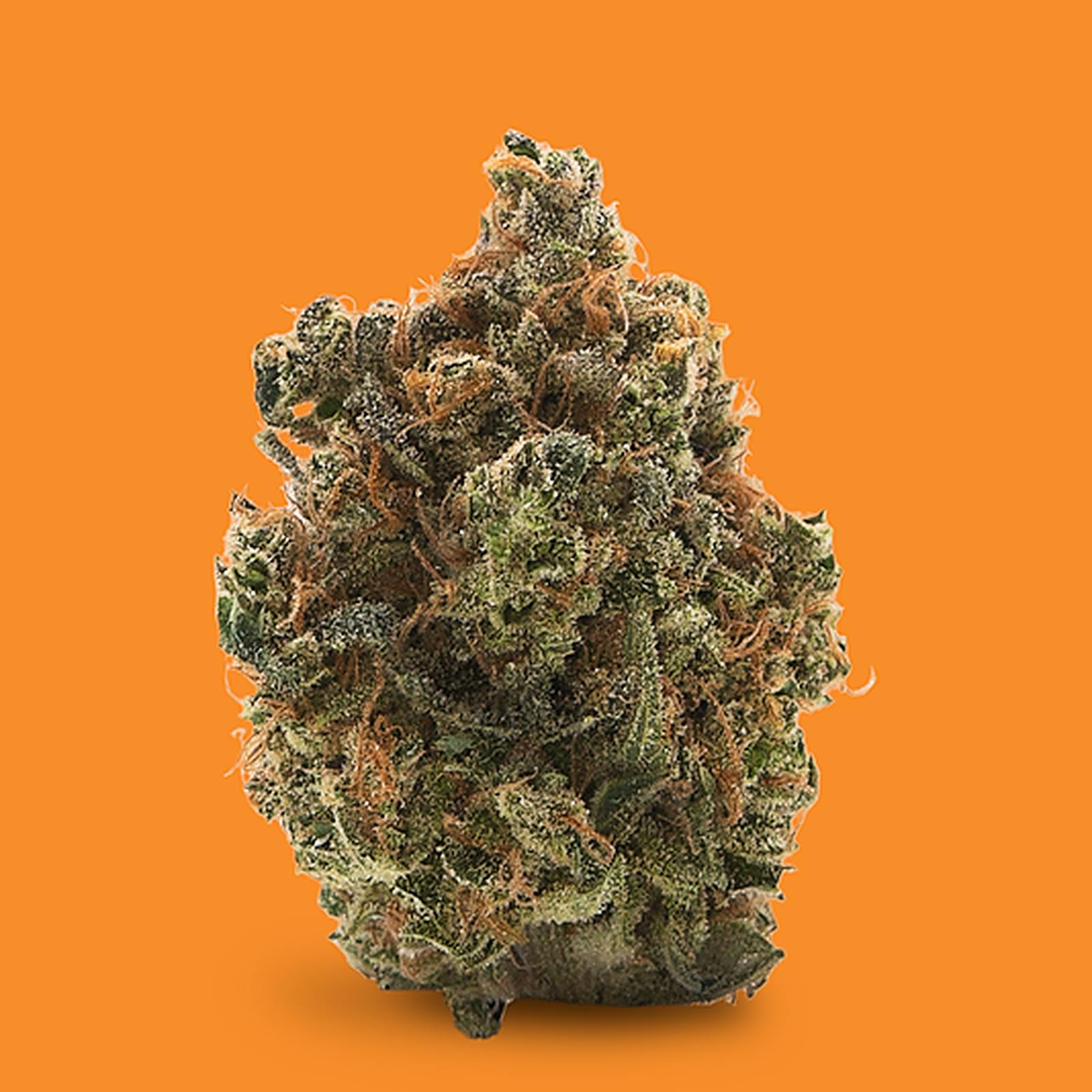 Dewey Cannabis Co. 7g Flower Tiny Trees Flora d’Explora Leafly