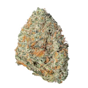 Photo of Gasoline Zest