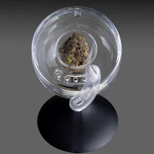Photo of Bud Goblet™