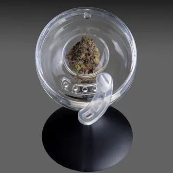 Photo of Bud Goblet™