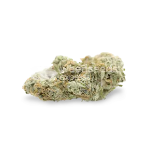 Photo of Jack Widow Feminized Seeds