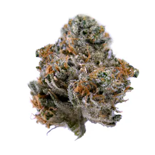 Photo of Fernando Purps