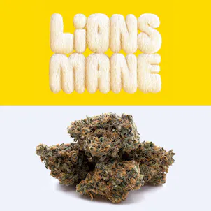 Photo of Lions Mane 1g Preroll